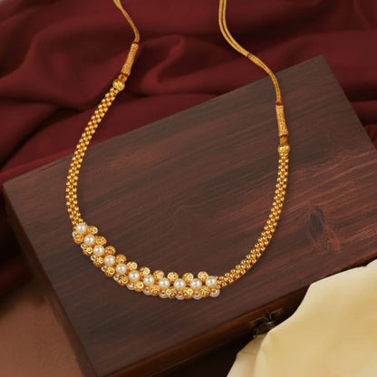 Akshykanti Kolhapuri Thushi