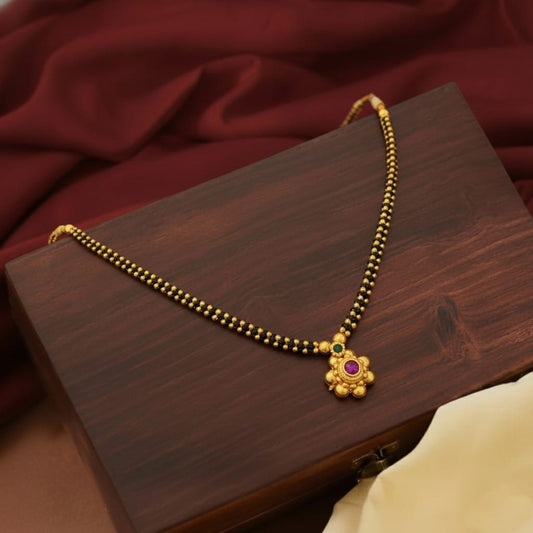 Nakshtra Kolhapuri Thushi