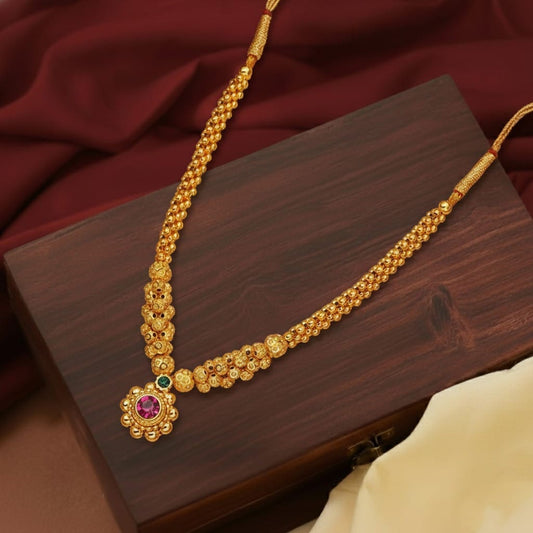 Saajghatv Kolhapuri THushi