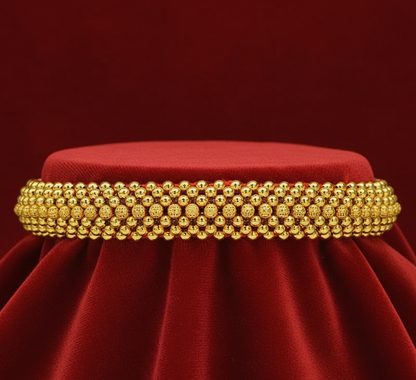 Harinakshi Moti Chinchpeti