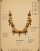 Coral Pearl Bird Pendant Necklace