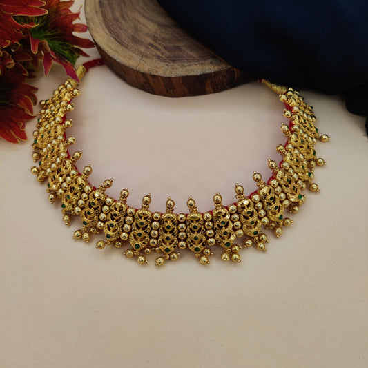 Veni Kolhapuri Thushi